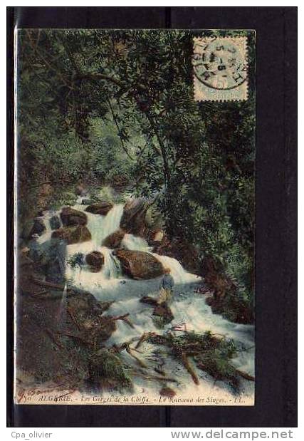 ALGERIE Gorges De La Chiffa (envs Blida) Ruisseau Des Singes, Colorisée, Ed LL 50, 1905 - Blida