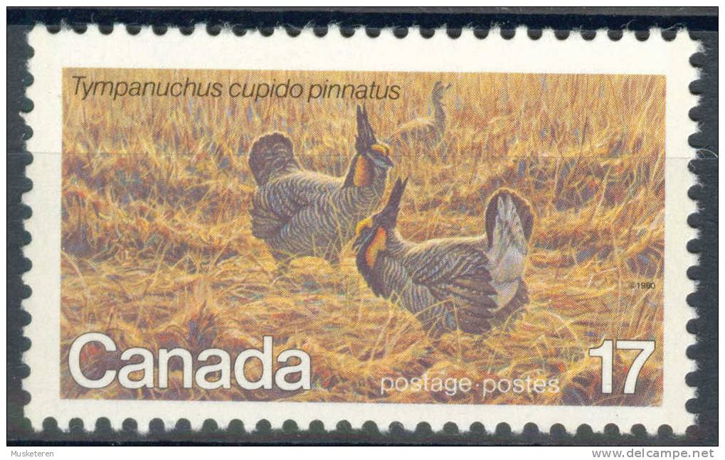 Canada 1980 Mi. 765 Endangered Wildlife Prarie Chicken MNH - Neufs