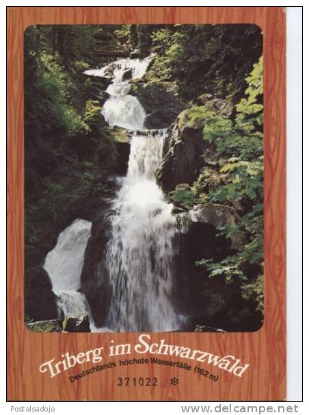 (DE247) TRIBERG IM SCHWARZWALD . WASSERFALLE - Triberg