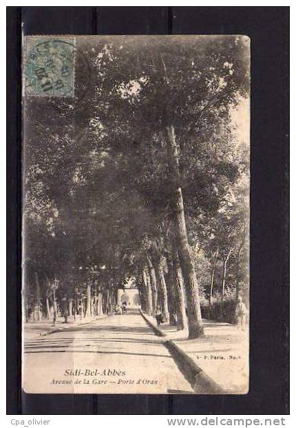 ALGERIE Sidi Bel Abbes Avenue De La Gare, Porte D'Oran, Ed VP 6, 1905 - Sidi-bel-Abbès