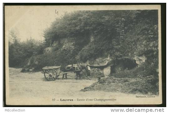 95 LOUVRES   Entrée D'une Champignonnière - Louvres