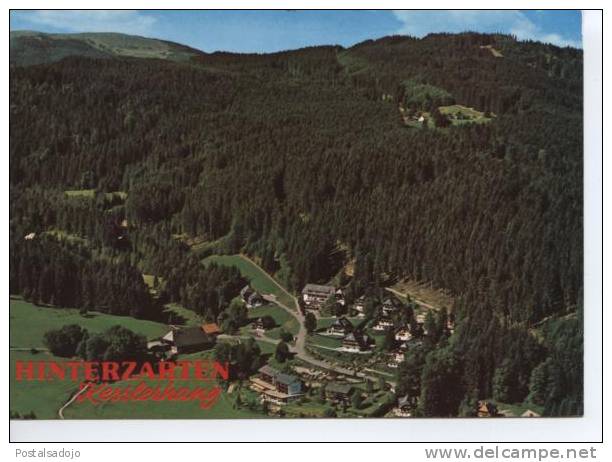 (DE339) HINTERZARTEN . KESSIERHANG MIT FELDBERG - Hinterzarten