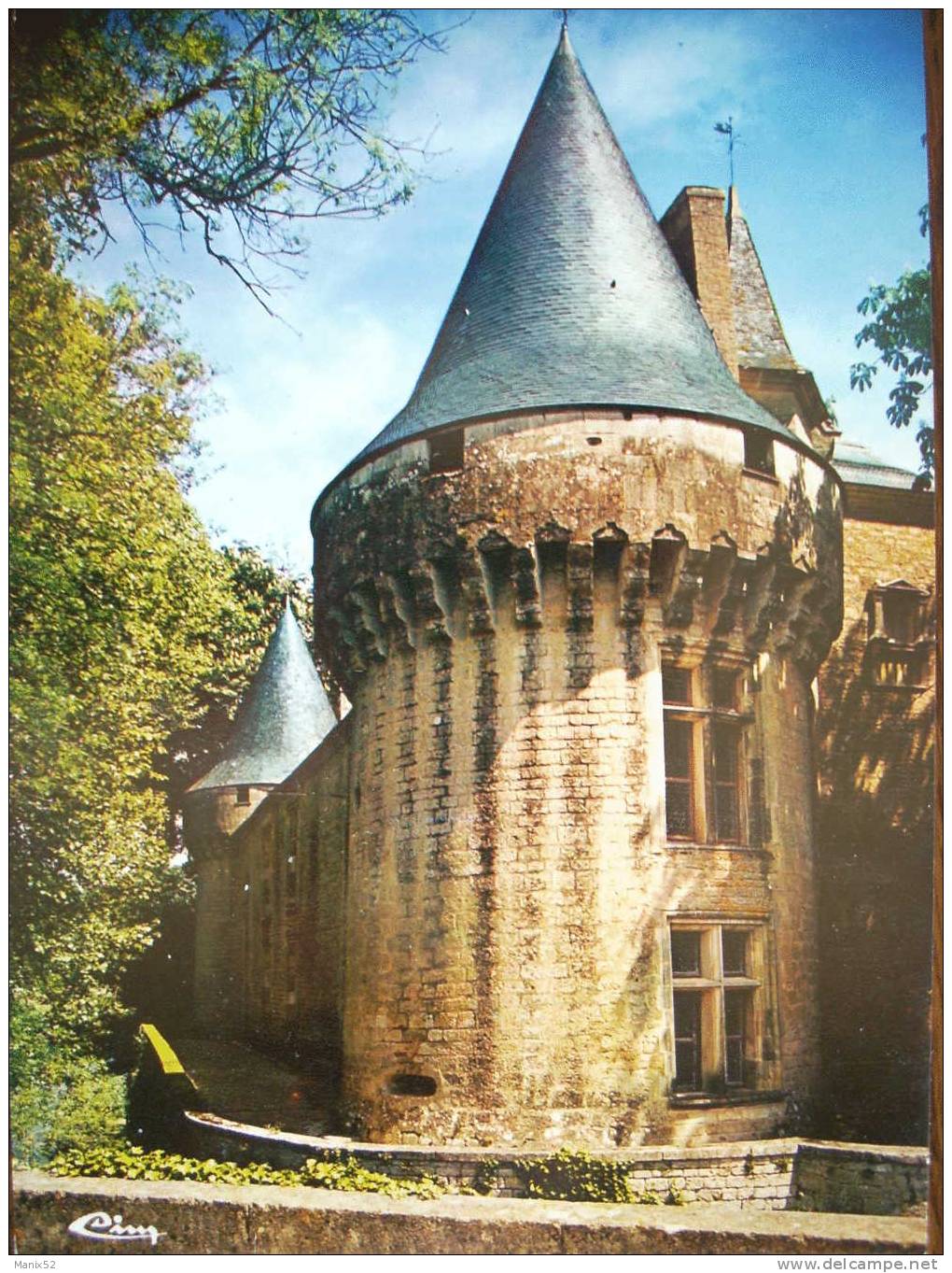 17 - DAMPIERRE-sur-BOUTONNE - Tour D´angle Et Côté Ouest Du Château. - Dampierre-sur-Boutonne