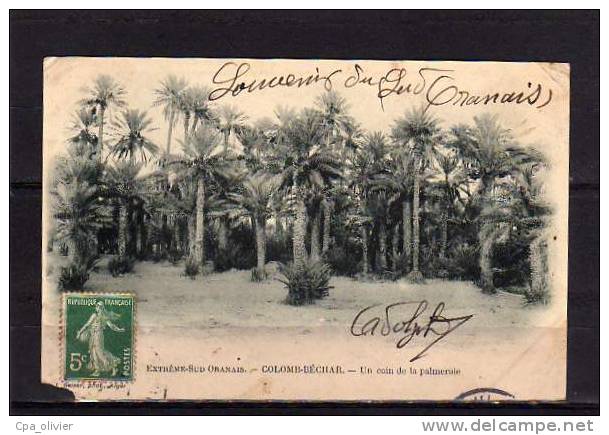 ALGERIE Colomb Béchar Palmeraie, Ed Geiser *, Extrème Sud Oranais, 190? *** ETAT *** - Bechar (Colomb Béchar)