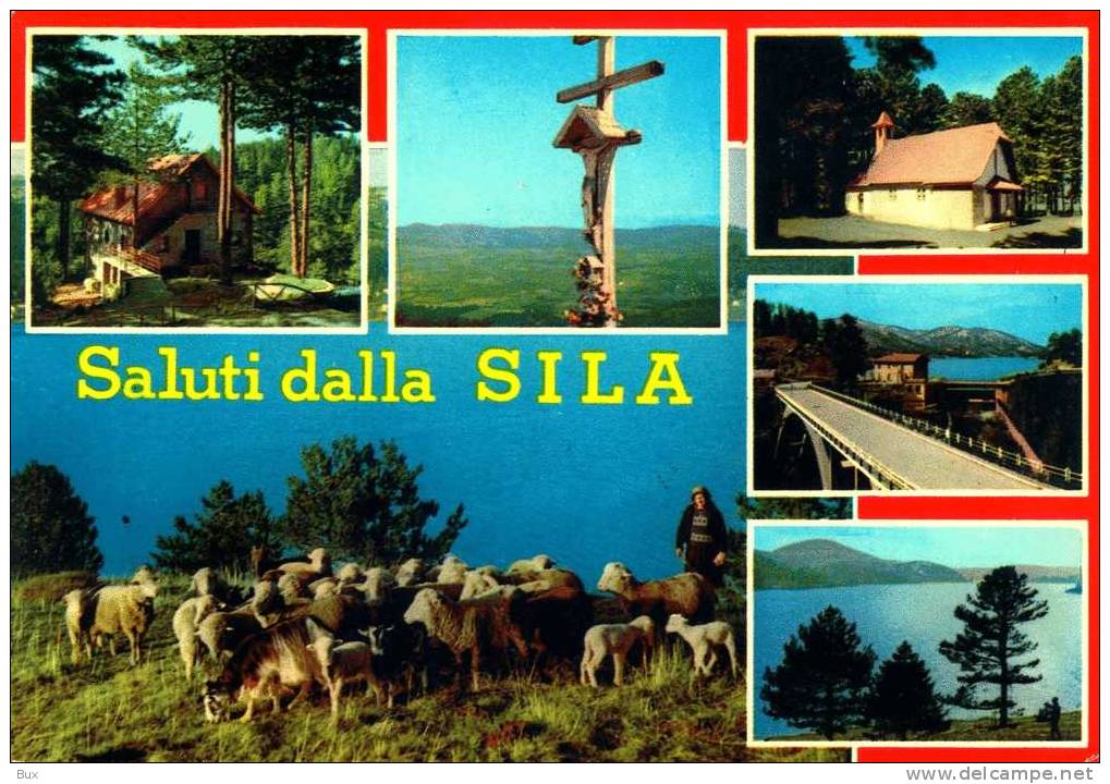 SALUTI  DALLA  LA SILA   CALABRIA CATANZARO     VIAGGIATA  COME DA FOTO - Catanzaro