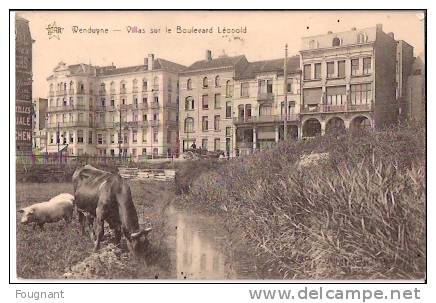 BELGIQUE:WENDUYNE(Fl.Occi   D.):Villas  Sur Le Boulevard Léopold.1910.Vache Et Cochon. - Wenduine