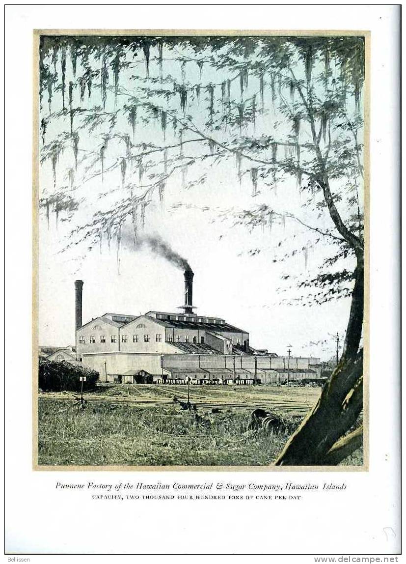 Some Sugar Factories - Honolulu Iron Works Company 1924  -Sugar Cane - Factory - 1900-1949