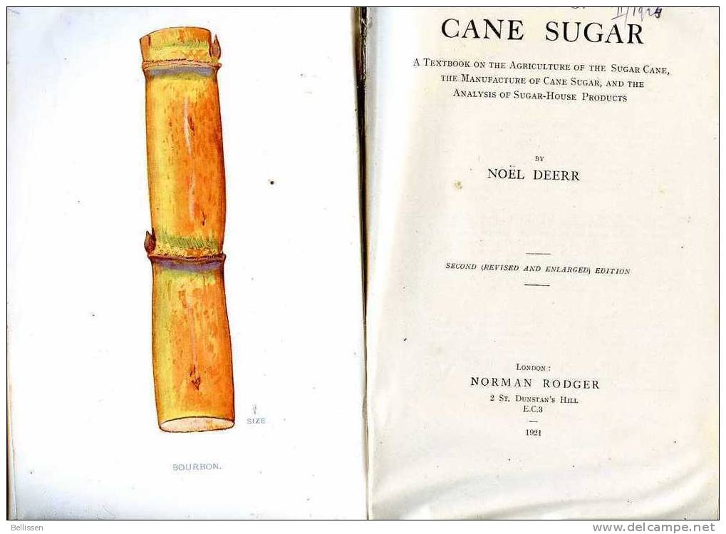 Cane Sugar By Noël Deerr - Ed. Norman Rodger London 1921 Agriculture, Manufacture, And Analysis - Sucre De Canne - 1900-1949