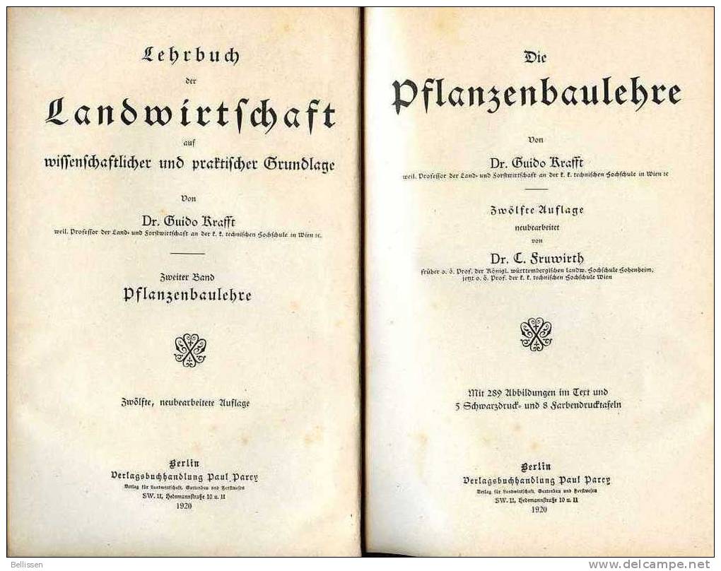 Die Pflanzenbaulehre Von Dr Guido Krafft, Paul Parey, Berlin 1920 - Landwirtschaft, Praktischer Grundlage - Techniek