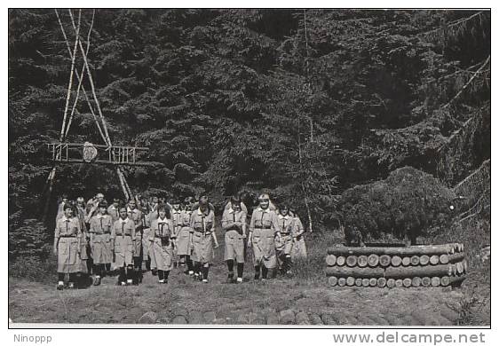 Poland-Girl Guides Real Photo - Other & Unclassified