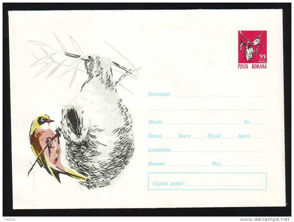 Birds Ornithology Vögel Oiseaux  Stationery Cover 1965 RRR Rare Romania,cod.192. - Mouettes