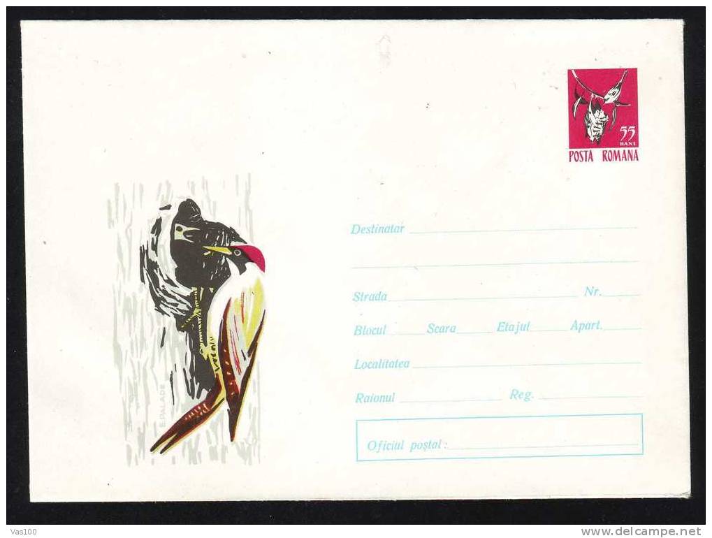 Birds Ornithology Vögel Oiseaux  Stationery Cover 1965 RRR Rare Romania,cod.200. - Seagulls