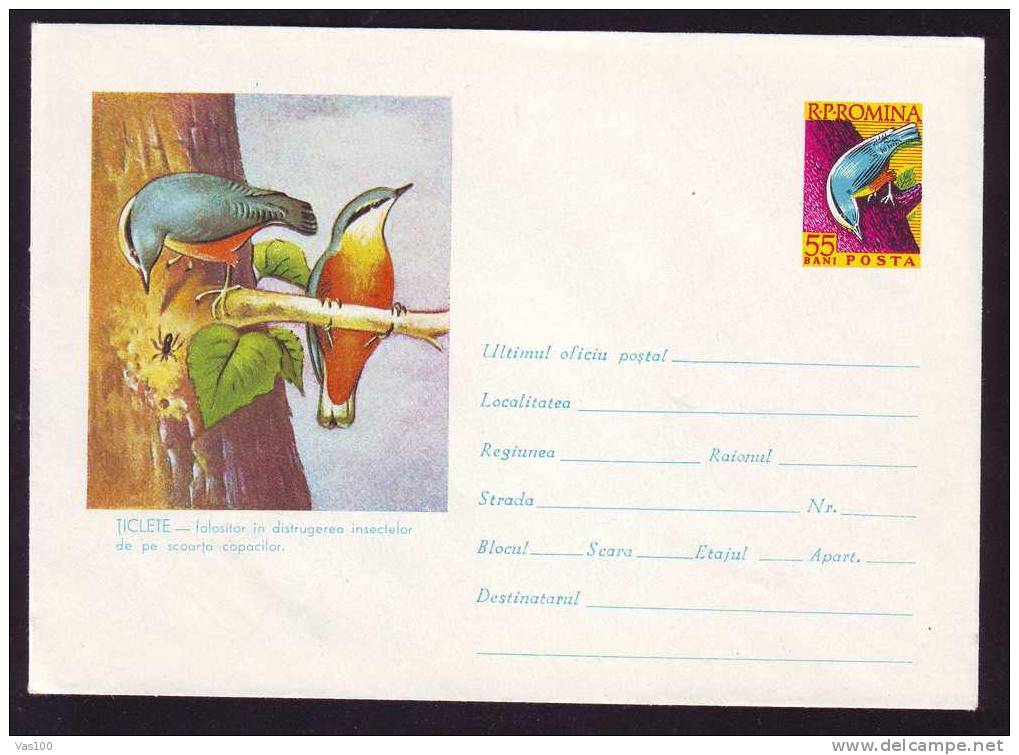 Birds Ornithology Vögel Oiseaux  Stationery Cover 1961 RRR Rare Romania. - Seagulls