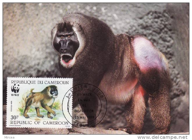 4055 - Cameroun 1988 -  Carte Maximum - Maximumkarten