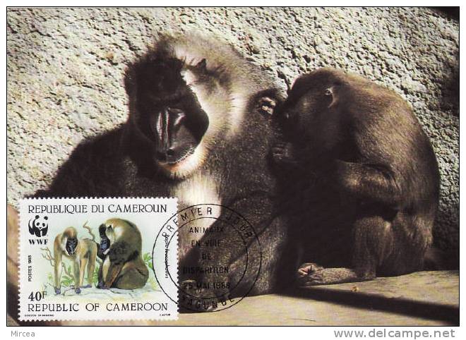 4057  - Cameroun 1988 - Maximum Cards