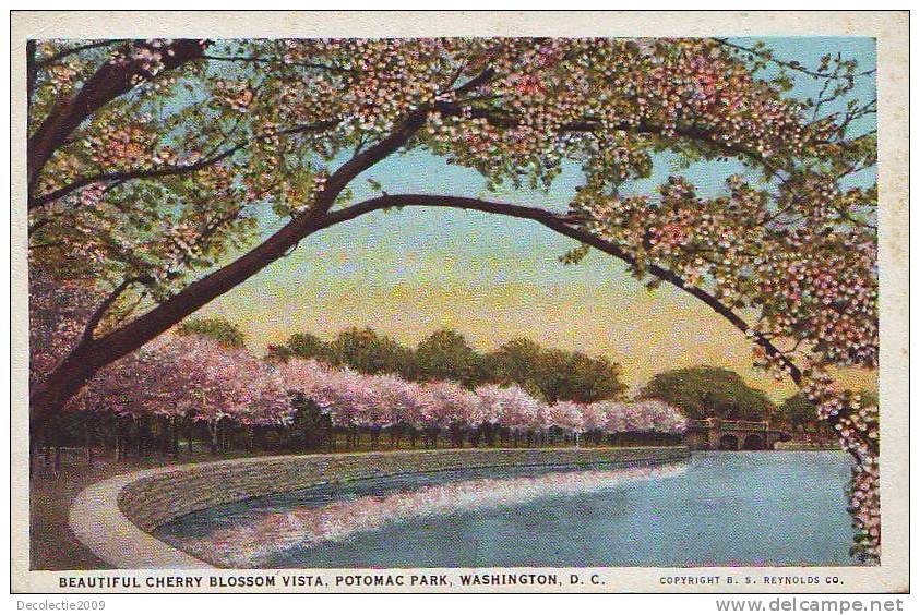 Z1077 United States Washington DC Japanese Cherry Blossoms Uncirculated - Washington DC
