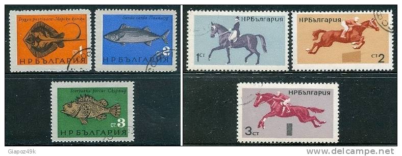 ● BULGARIA  -  Rep. Pop. - 1965  - PESCI  E CAVALLI-  N. 1328 . . /1356 . . Usati   -  360 /61 - Usati