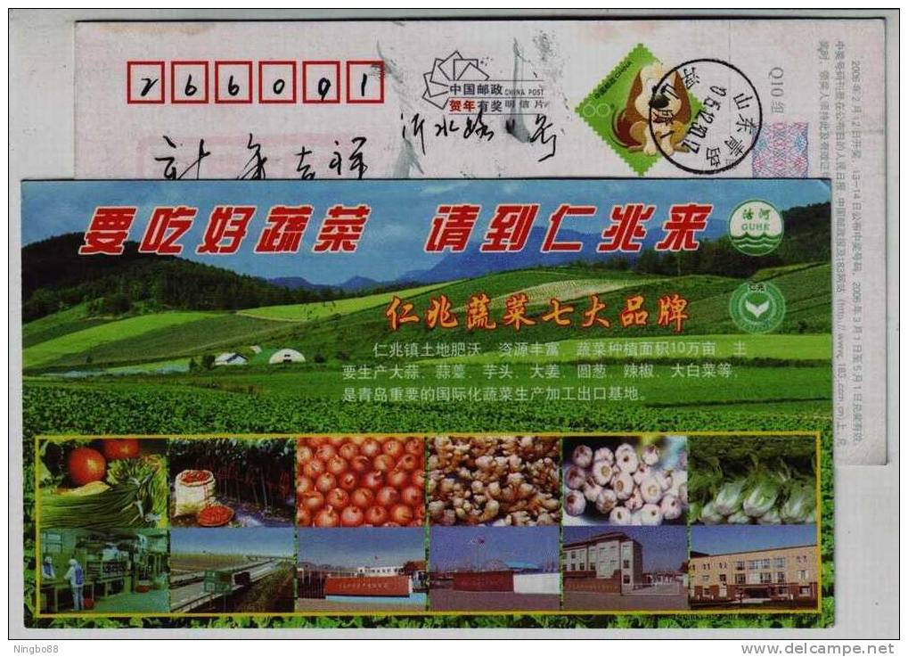 Onion,garlic,tomato,ginger,vegetable Aseptic Processing Room,CN06 Dragon Foodstuff Company Advertising Pre-stamped Card - Légumes