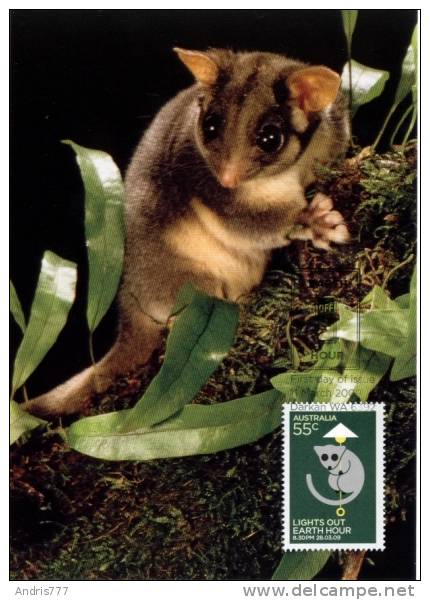 Australia 2009   Animal  Opossum  Earth Hour  (Maximum Card) - Maximumkarten (MC)