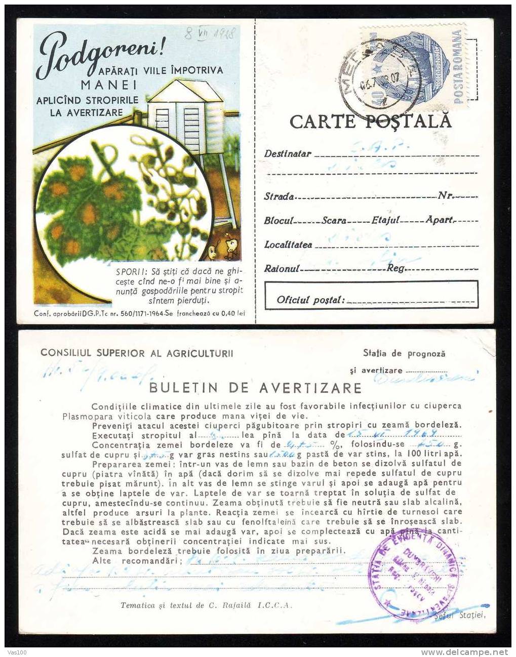 Romania 1964 Grapes,Vineyard Manna,rare Stationery Sent To Mail.(B) - Vini E Alcolici