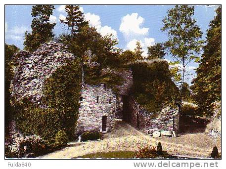 CPM.      SALMCHATEAU S/SALM.       Intérieur De L'enceinte Du Chateau-Fort Des Comtes De Salm: Vieille Prison. - Vielsalm