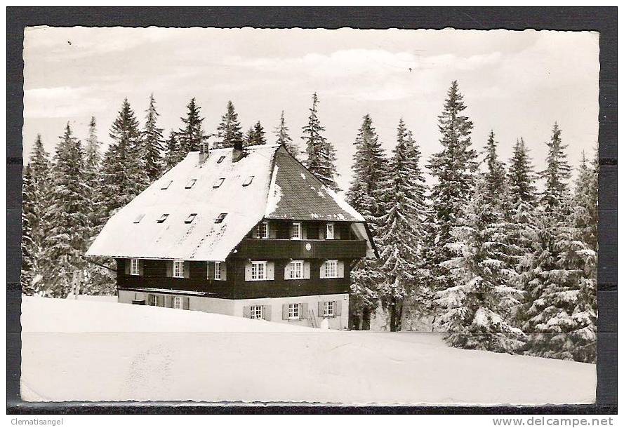 TOP!! FELDBERG * NATURFREUNDEHAUS AM BALDENWEGERBUCK *!! - Feldberg