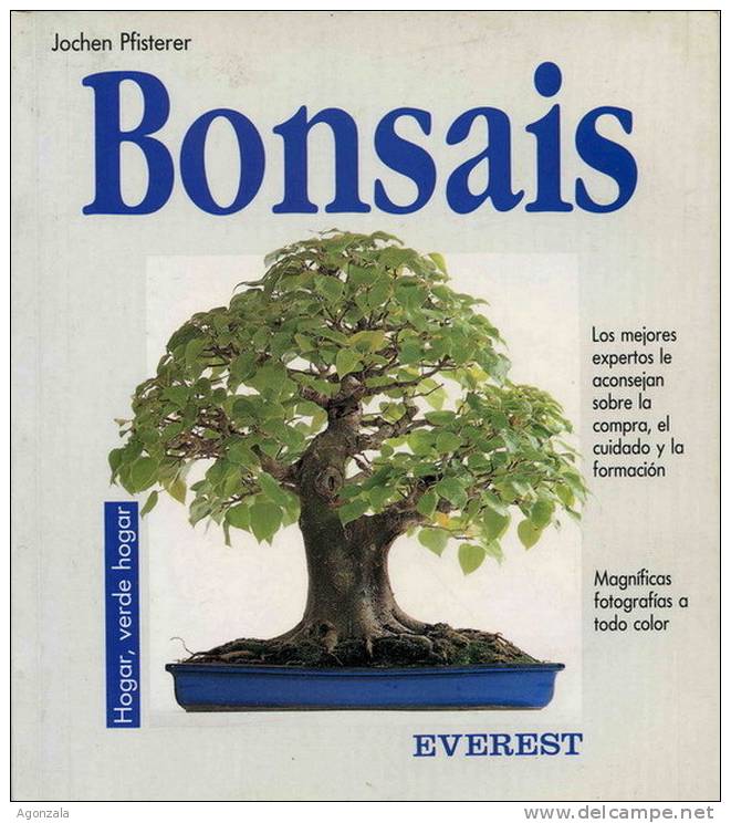 BONSAIS - CONSEJOS DE LOS MEJORES EXPERTOS - JOCHEN PFISTERER - Andere & Zonder Classificatie