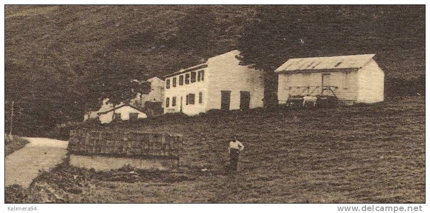 BASSES-PYRENEES  /  MAULEON  /  LE  COL  D' OSQUICH  /  ROUTE  DE  LARCEVEAU  À  MAULEON  /  LE  CÔTEAU  DE  "BERHANSU" - Mauleon Licharre