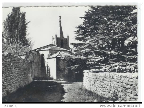 L 638 / CPSM  BONNIEUX  (84)   L' EGLISE - Bonnieux