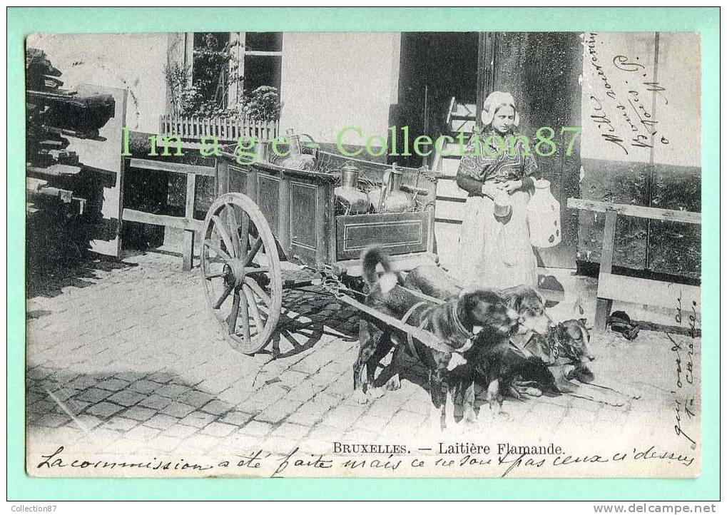 BELGIQUE - BRUXELLES - AGRICULTURE - LAITIERE - ATTELAGE De CHIEN - VOITURE à CHIEN - CHARETTE à 3 CHIENS - CLICHE 1900 - Old Professions