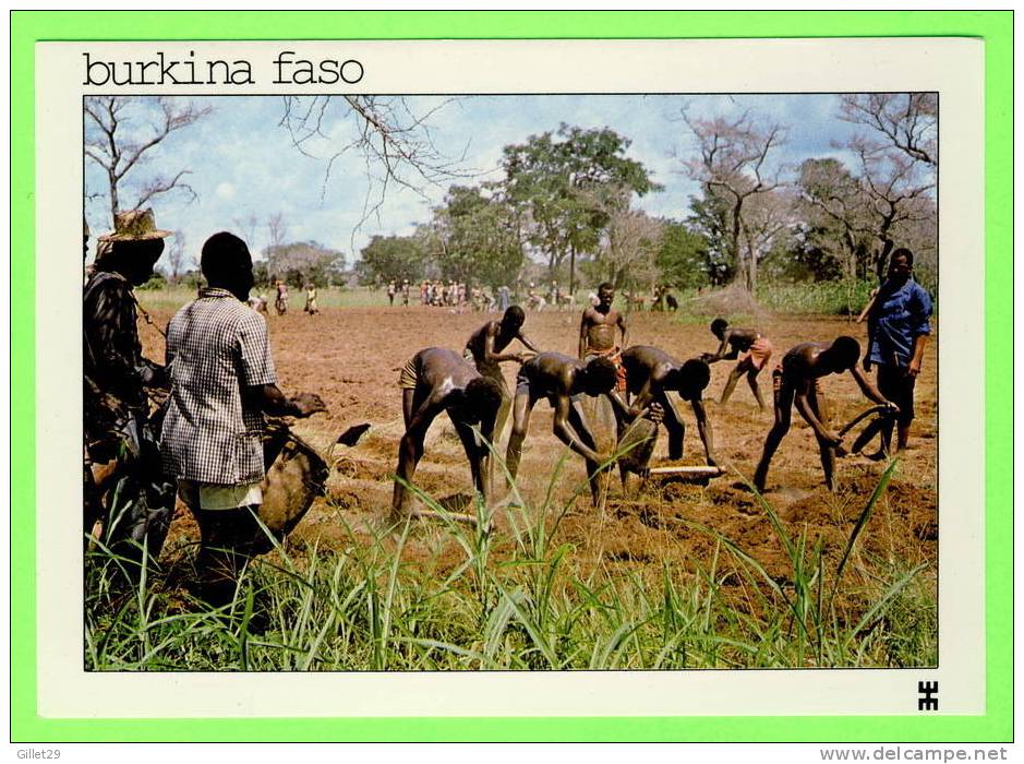 BURKINA FASO - NIANKAR, KOMOÉ - TIÉRENGO CULTURE HUSAALE - - Burkina Faso