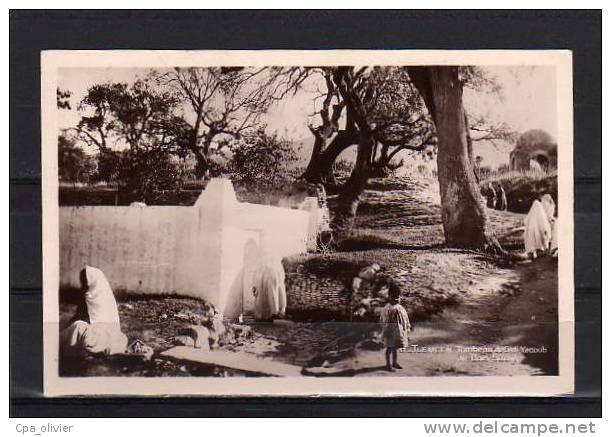 ALGERIE Tlemcen Bois Sacré, Tombeau De Sidi Yacoub, Animée, Ed CAP 17, CPSM 9x14, 1936 - Tlemcen