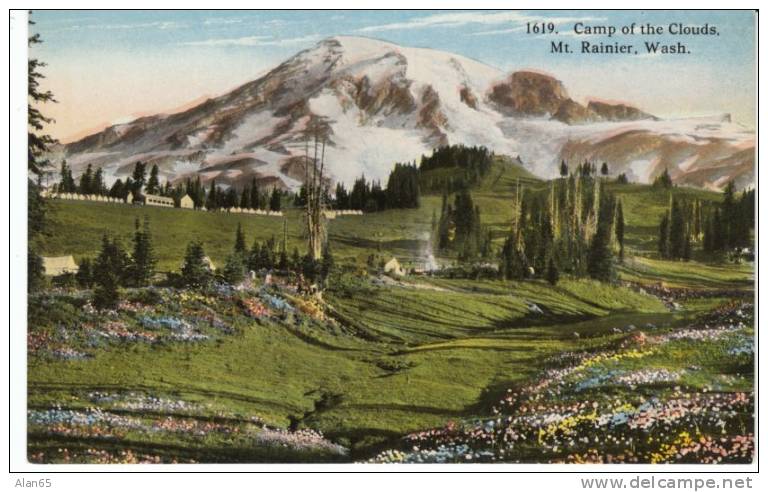 Camp Of The Clouds On Mt. Rainier National Park On C1910s Vintage Postcard - USA National Parks