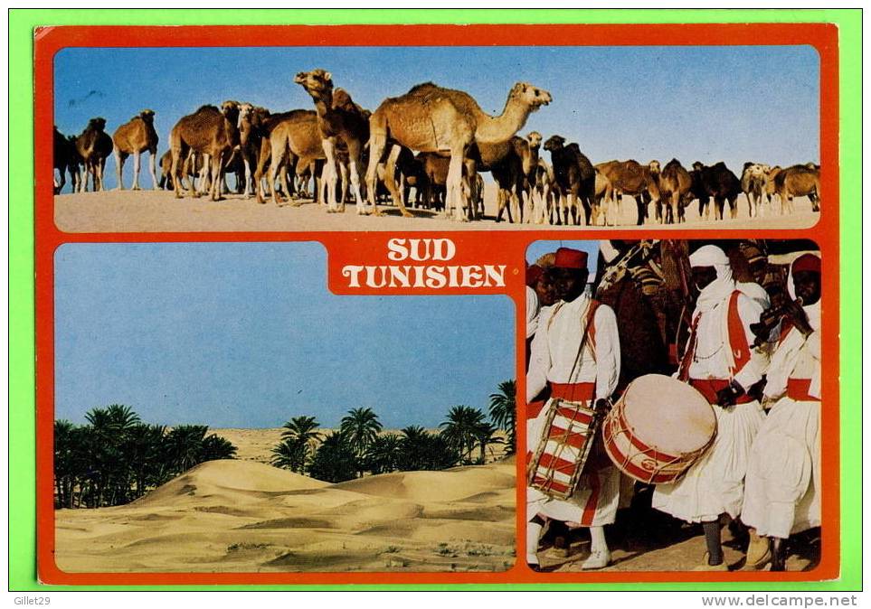 SUD,TUNISIE - 3 MULTIVUES - ÉDITIONS TANIT - - Tunisie