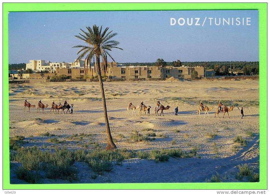 DOUZ, TUNISIE - VUE SUR LA VILLE - CHAMEAUX EN CARAVANE - - Tunesien