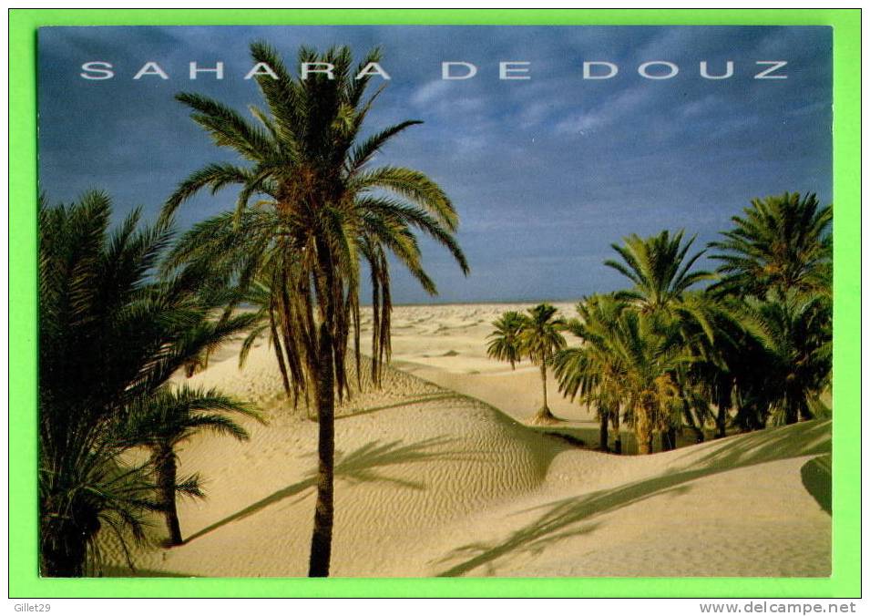 DOUZ, TUNISIE - SAHARA - - Tunisie