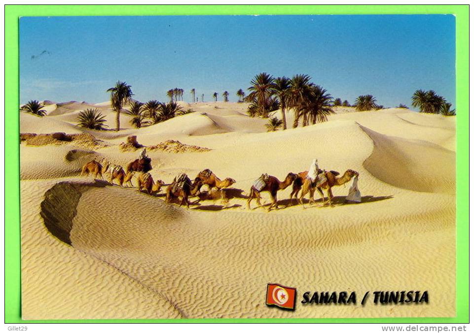 SAMARA, TUNISIE - SAHARA - - Tunisie