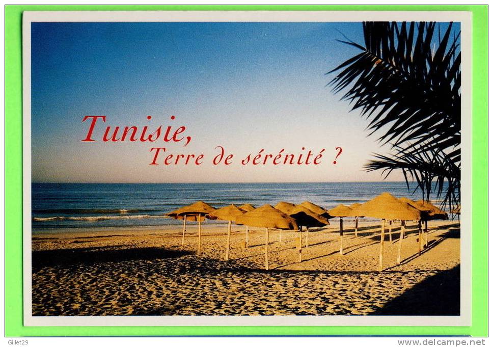 TUNISIE - TERRE DE SÉRÉNITÉ ? - TUNIS,SOUSSE,BIZERTE - - Tunisie