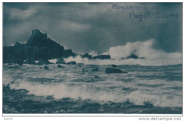 Breakers On Puget Sound On Rotograph C1900s Vintage Postcard - Autres & Non Classés