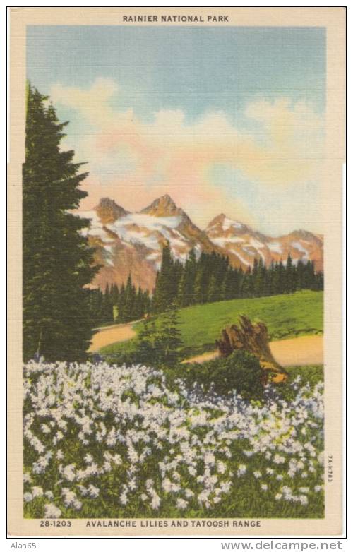 Paradise Inn WA Postmark Pierce County DPO-1 4-bar Cancel Postmark On 1937 Vintage Curteich Linen Mt. Rainier Postcard - Sonstige & Ohne Zuordnung