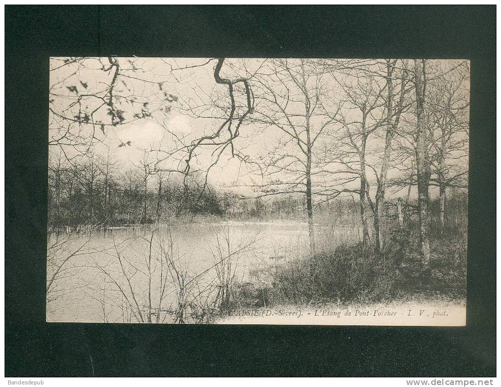 L' Absie (79) - Etang De Pont Porcher ( Maurice Chrétien L.V. Phot.) - L'Absie