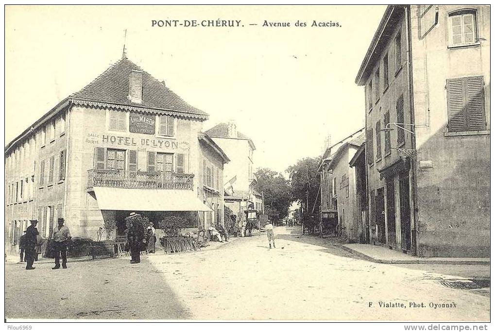 RARE CARTE POSTALE  PONT DE CHERUY  ISERE   AVENUE DES ACACIAS - Pont-de-Chéruy