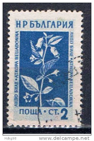 BG+ Bulgarien 1953 Mi 872 Pflanze - Oblitérés