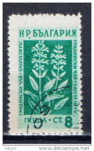 BG+ Bulgarien 1953 Mi 874 Pflanze - Usati
