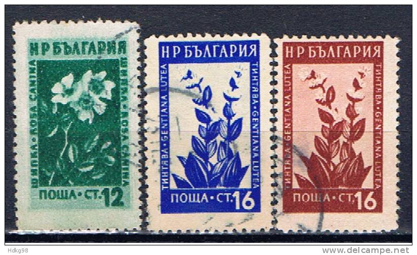 BG+ Bulgarien 1953 Mi 876-78 Pflanzen - Used Stamps