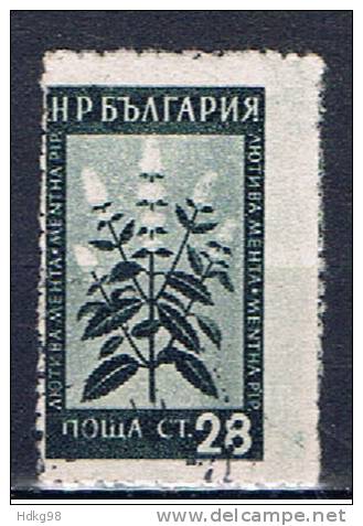 BG+ Bulgarien 1953 Mi 880 Pflanze - Used Stamps