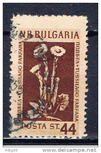 BG+ Bulgarien 1953 Mi 882 Pflanze - Oblitérés