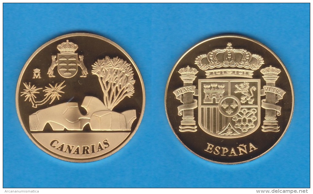 ESPAÑA / SPAIN   MEDALLA  ORO / GOLD    SC/UNC  PROOF  CANARIAS   DL-7138 - Autres & Non Classés