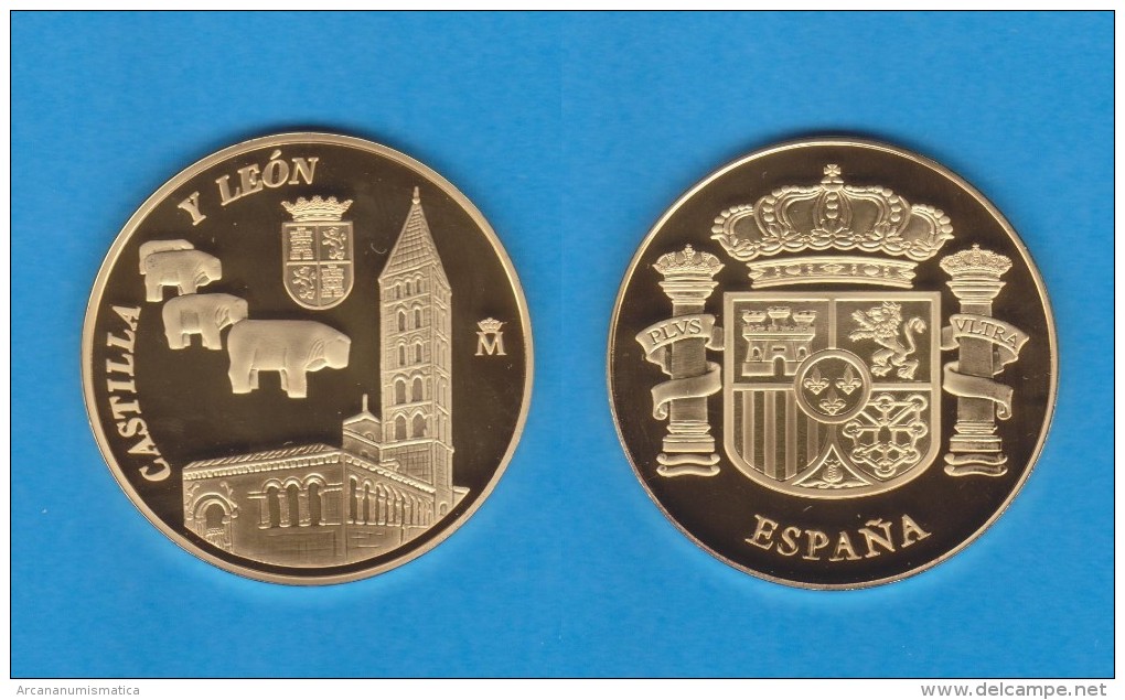 ESPAÑA / SPAIN   MEDALLA  ORO / GOLD    SC/UNC  PROOF  CASTILLA Y LEON    DL-7141 - Other & Unclassified