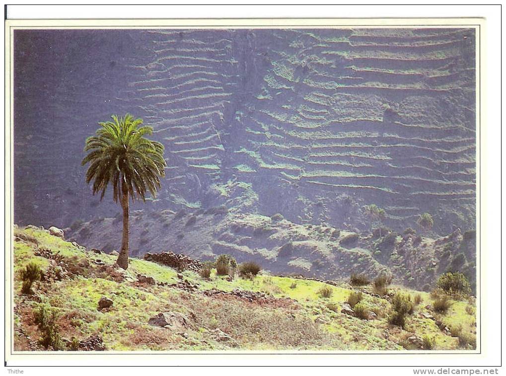 Barranco De Chijeré - Zypern